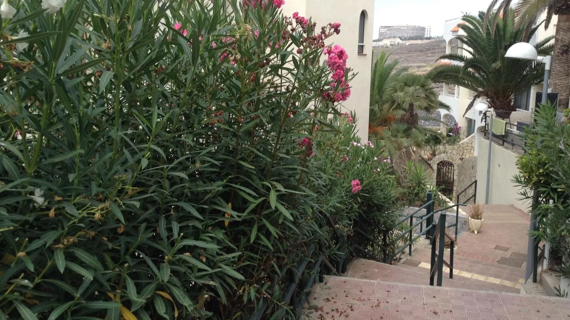Jardin Marino Διαμέρισμα Costa Adeje  Costa Adeje (Tenerife)